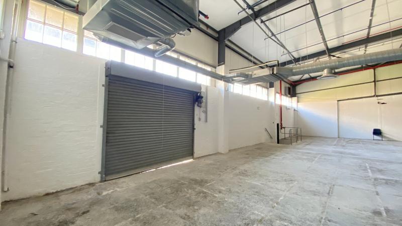 To Let commercial Property for Rent in Observatory Western Cape